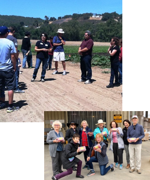 Tours at the farm